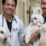 Veterinary Clinic Business